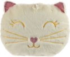 Warmwaterkruik kat