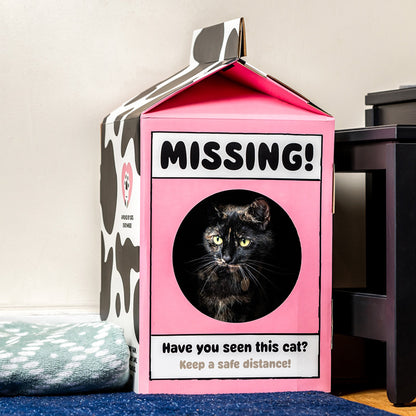 Katten speelhuisje